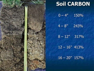 Soil CARBON
0 – 4” 150%
4 – 8” 243%
8 – 12” 317%
12 – 16” 413%
16 – 20” 157%
 