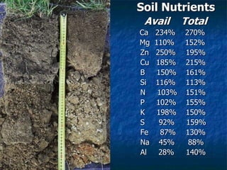 Soil Nutrients
Avail Total
Ca 234% 270%
Mg 110% 152%
Zn 250% 195%
Cu 185% 215%
B 150% 161%
Si 116% 113%
N 103% 151%
P 102% 155%
K 198% 150%
S 92% 159%
Fe 87% 130%
Na 45% 88%
Al 28% 140%
 