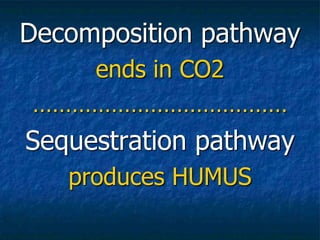 Decomposition pathway
ends in CO2
…………………………………
Sequestration pathway
produces HUMUS
 