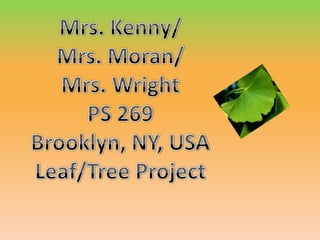 Mrs. Kenny/ Mrs. Moran/ Mrs. Wright PS 269 Brooklyn, NY, USA Leaf/Tree Project 