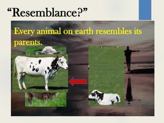 “Resemblance?”
Every animal on earth resembles its
parents.
 