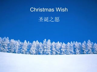 Christmas Wish 圣诞之愿 