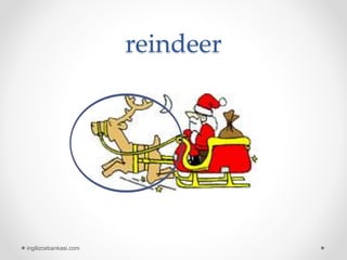 reindeer
ingilizcebankasi.com
 