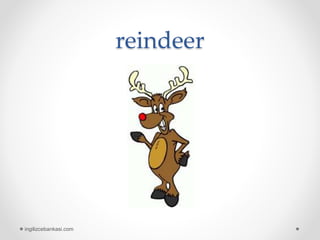 reindeer
ingilizcebankasi.com
 