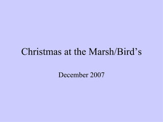 Christmas at the Marsh/Bird’s December 2007 