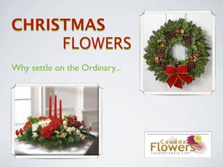 CHRISTMAS
     FLOWERS
Why settle on the Ordinary...
 