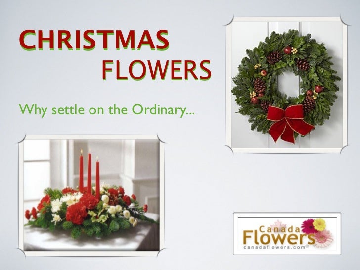 Send Christmas Flowers Online with Canada an Ftd Florist