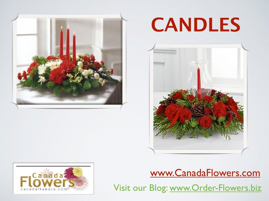 Christmas Flowers A Great Season to Send Flowers