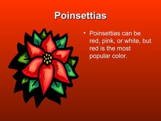 Poinsettias Poinsettias can be red, pink, or white, but red is the most popular color.  