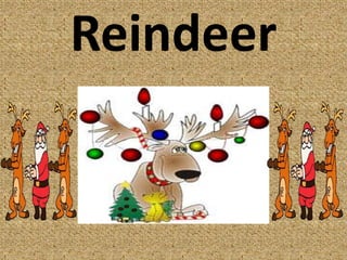 Christmas 2011 - symbols