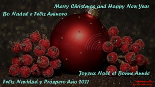 Merry Christmas and Happy New Year
Feliz Navidad y Próspero Año 2021 Christmas 2020
Joyeux Noël et Bonne Année
Bo Nadal e Feliz Aninovo
José Luis Prieto Calviño
 
