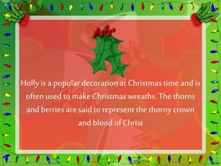 Holly is a popular decoration at Christmas time and is 
often used to make Christmas wreaths. The thorns 
and berries are said to represent the thorny crown 
and blood of Christ 
 