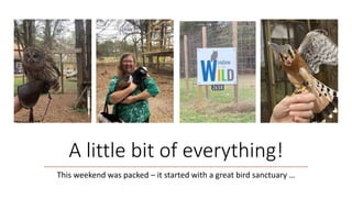 A little bit of everything!
This weekend was packed – it started with a great bird sanctuary …
 