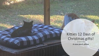 Kitties 12 Days of
Christmas gifts!
A new porch pillow
 