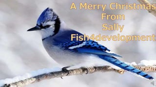 Merry Christmas 2016 from Fish4Development