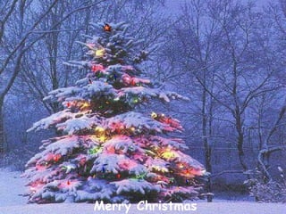 Christmas scenes
