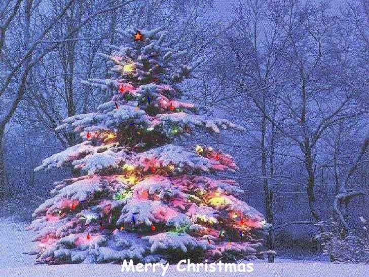 christmas scenes