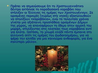 

Πρέπει να σημειώσουμε ότι το Χριστουγεννιάτικο
δέντρο εκτόπισε το παραδοσιακό καραβάκι που
στόλιζαν οι Έλληνες τις ημέρες των Χριστουγέννων. Σε
ορισμένες περιοχές (κυρίως στα νησιά) εξακολουθούν
να στολίζουν «καραβάκια», ενώ τα τελευταία χρόνια
γίνεται μια αξιέπαινη προσπάθεια ορισμένων Δήμων
της χώρας, να επαναφέρουν το έθιμο στην αρχική του
μορφή, στολίζοντας στις πλατείες τους καραβάκια αντί
για έλατα. Ωστόσο, το χλωρό κλαδί πάντα έμπαινε στο
ελληνικό σπίτι τις ημέρες του Δωδεκαημέρου, για να
φέρει την ελπίδα για μια καινούρια ανθοφορία, για ένα
καλύτερο μέλλον.

 