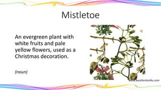 Mistletoe
An evergreen plant with
white fruits and pale
yellow flowers, used as a
Christmas decoration.
(noun)
 