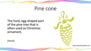 Pine cone
The hard, egg-shaped part
of the pine tree that is
often used as Christmas
ornament.
(noun)
 