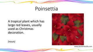 Poinsettia
A tropical plant which has
large red leaves, usually
used as Christmas
decoration.
(noun)
 
