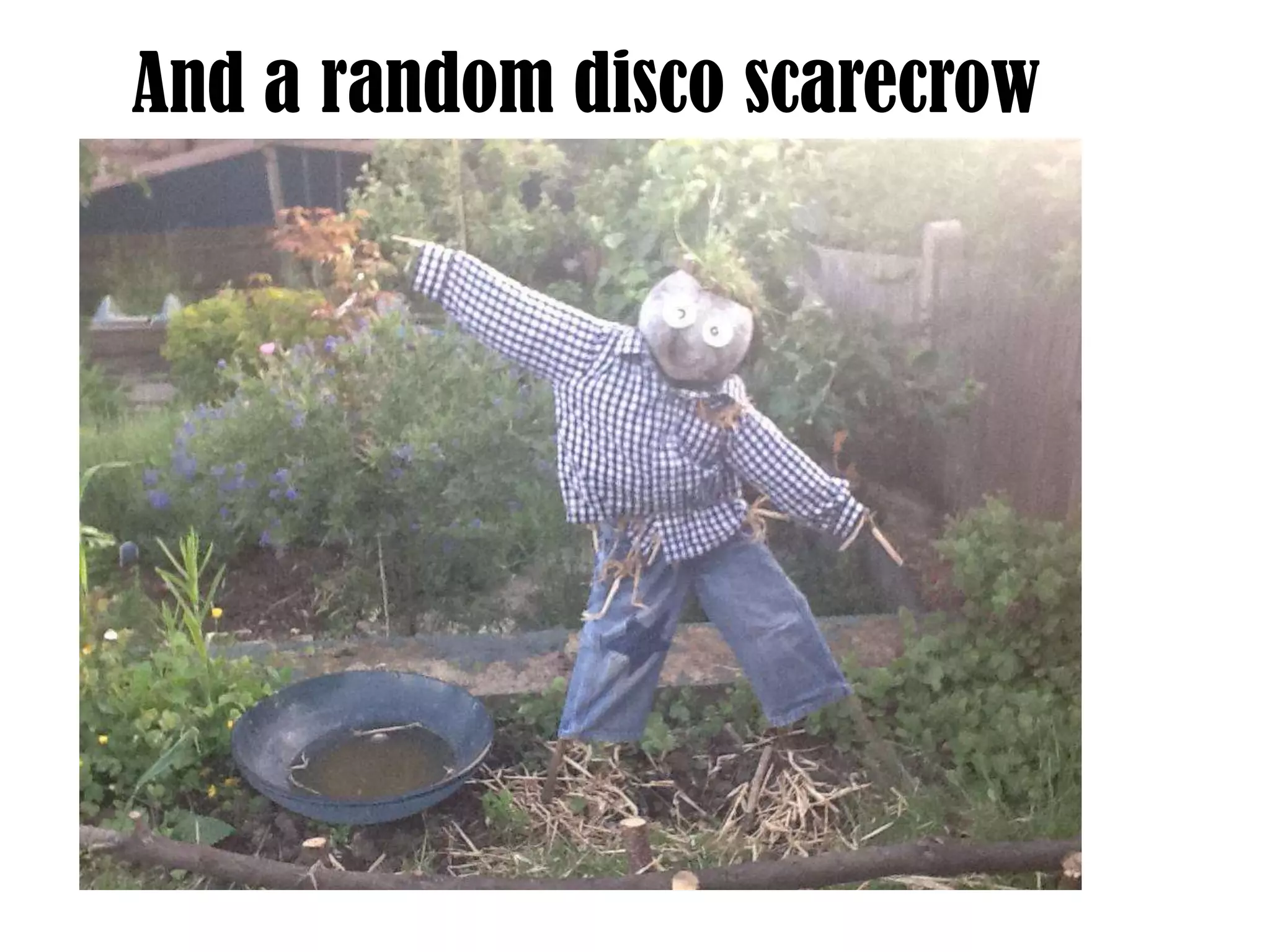 And a random disco scarecrow

 