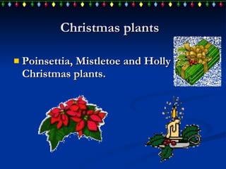 Christmas plants Poinsettia ,  Mistletoe and Holly  are Christmas plants. 