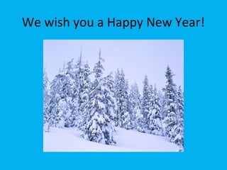 We wish you a Happy New Year!

 