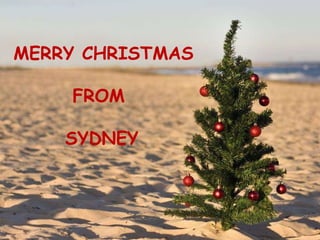 MERRY CHRISTMAS FROM SYDNEY 