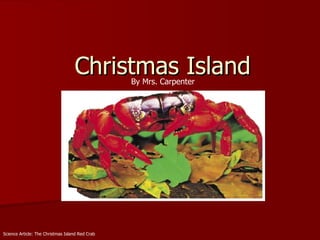 Christmas Island Science Article: The Christmas Island Red Crab By Mrs. Carpenter 
