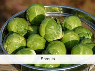 Sprouts
 