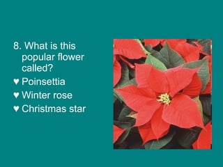 8. What is this popular flower called? Poinsettia Winter rose Christmas star 