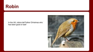 Robin

In the UK, robins tell Father Christmas who
has been good or bad!

 