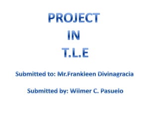 PROJECT  IN  T.L.E Submitted to: Mr.FrankleenDivinagracia Submitted by: Wilmer C. Pasuelo 