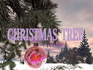 CHRISTMAS  TREE 