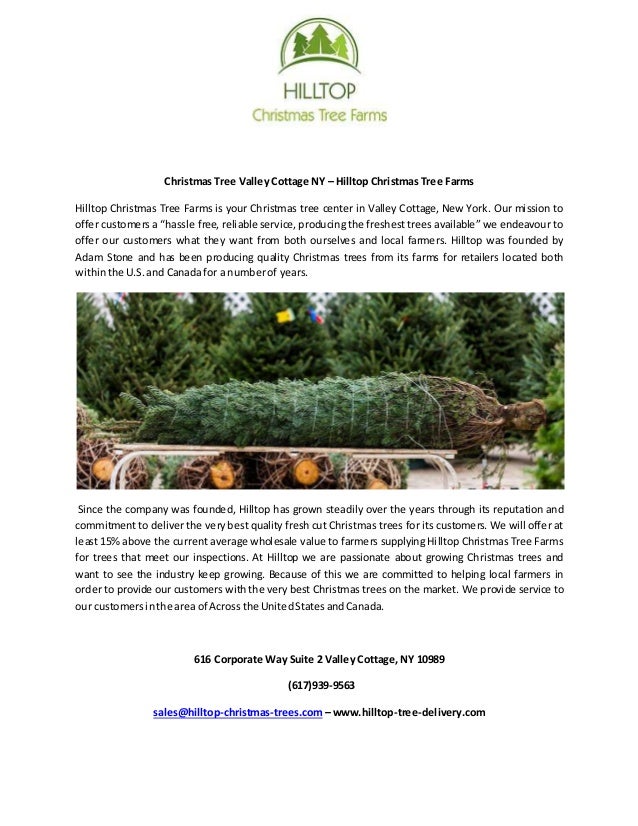 christmas tree valley cottage ny hilltop christmas tree farms hilltop christmas tree farms is your - Hilltop Christmas christmas tree valley cottage ny hilltop christmas tree farms hilltop christmas tree farms is your - Hilltop Christmas