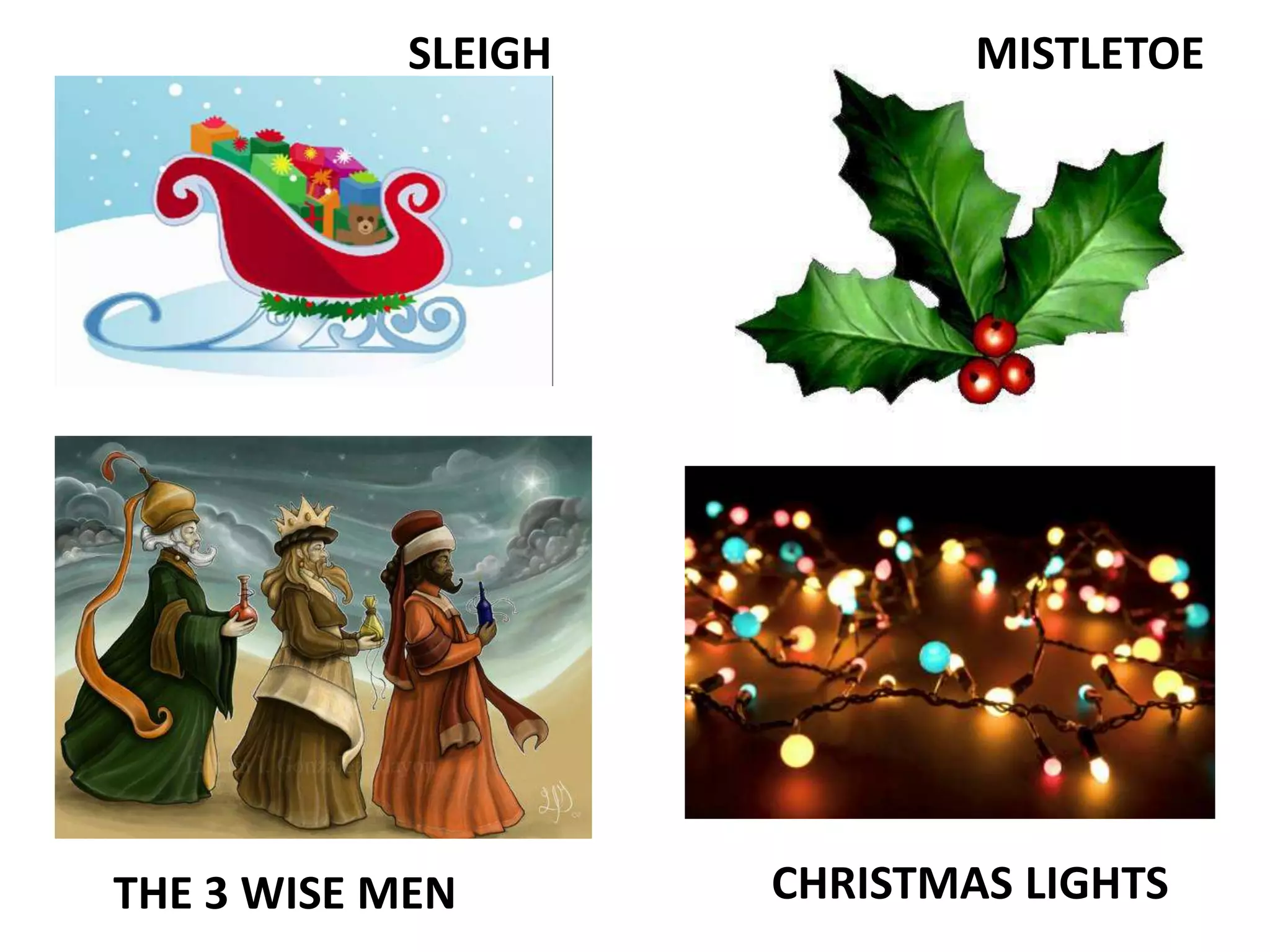 SLEIGH
THE 3 WISE MEN
MISTLETOE
CHRISTMAS LIGHTS