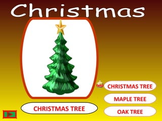 CHRISTMAS TREE
CHRISTMAS TREE
MAPLE TREE
OAK TREE
 
