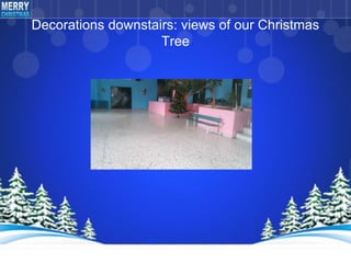 Decorations downstairs: views of our Christmas
Tree
 