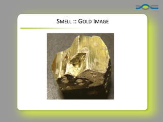 SMELL :: GOLD IMAGE
 