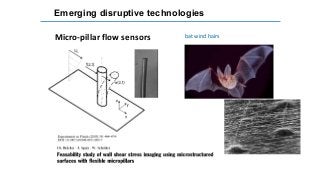 Emerging disruptive technologies
Micro-pillar flow sensors bat wind hairs
 