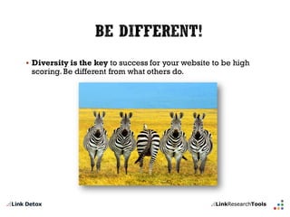 Diversity is the keyto success for your website to be high scoring. Be different from what others do.  