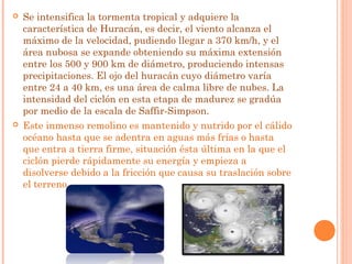  Se intensifica la tormenta tropical y adquiere la
característica de Huracán, es decir, el viento alcanza el
máximo de la velocidad, pudiendo llegar a 370 km/h, y el
área nubosa se expande obteniendo su máxima extensión
entre los 500 y 900 km de diámetro, produciendo intensas
precipitaciones. El ojo del huracán cuyo diámetro varía
entre 24 a 40 km, es una área de calma libre de nubes. La
intensidad del ciclón en esta etapa de madurez se gradúa
por medio de la escala de Saffir-Simpson.
 Este inmenso remolino es mantenido y nutrido por el cálido
océano hasta que se adentra en aguas más frías o hasta
que entra a tierra firme, situación ésta última en la que el
ciclón pierde rápidamente su energía y empieza a
disolverse debido a la fricción que causa su traslación sobre
el terreno.
 