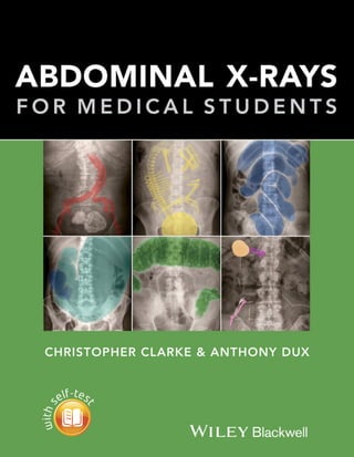 G0326-23★CD 洋楽 ジャンル色々 The Xrays 等まとめて10点 Christopher_Clarke