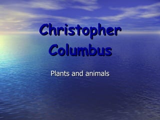 Christopher Columbus Plants and animals 