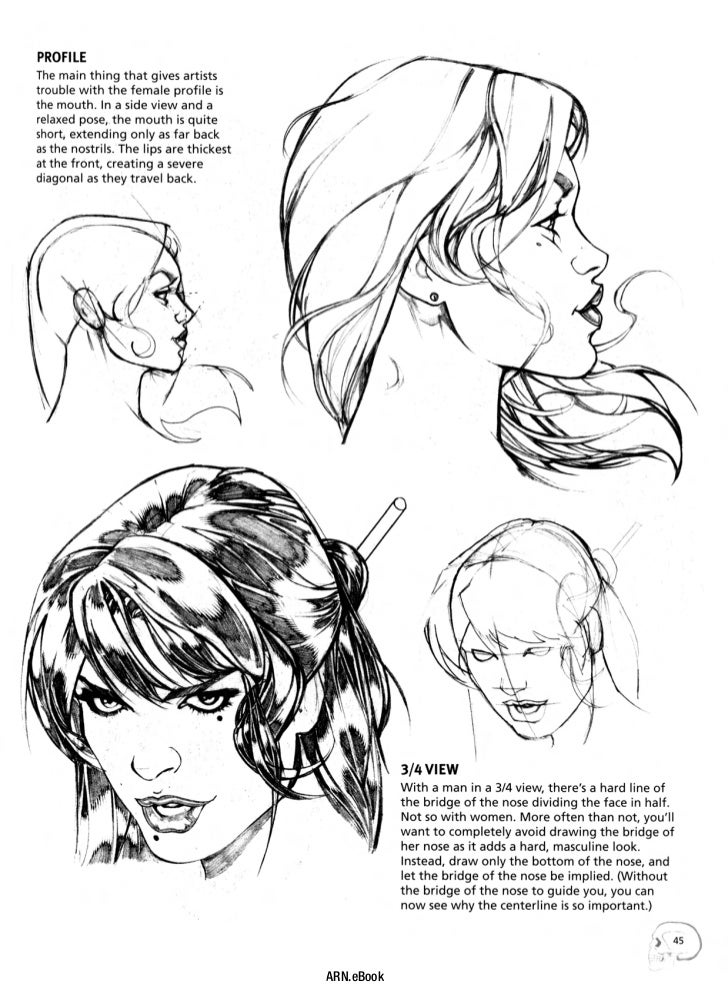basic anatomy drawing pdf