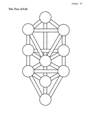 Neophyte 83
The Tree ofLife
 