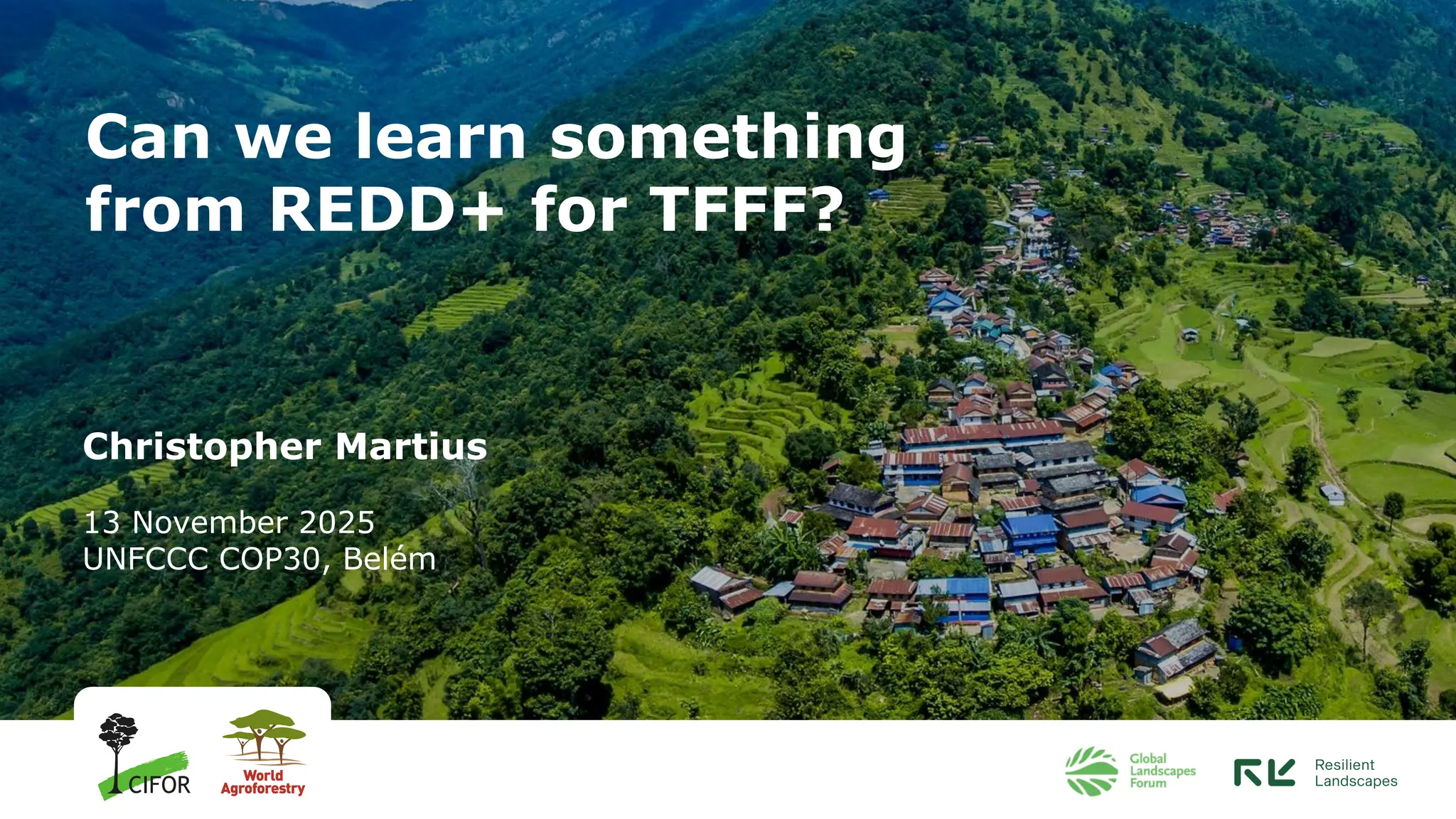 Christopher Martius
13 November 2025
UNFCCC COP30, Belém
Can we learn something
from REDD+ for TFFF?
 