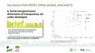 Can we learn something from REDD+ for TFFF? | PDF