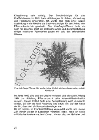24
Kriegführung sehr wichtig. Der Bevollmächtigte für das
Kraftfahrtwesen im OKH hatte Abteilungen für Anbau, Verwertung
und Forschung eingerichtet. Ich wurde also nach einer kurzen
Ausbildung in die Ukraine als Sachverständiger für den Anbau von
Pflanzenkautschuk geschickt. Eine Kok-Sagis-Pflanze hatte ich
noch nie gesehen. Doch die praktische Arbeit und die Unterstützung
einiger russischer Agronomen gaben mir bald das erforderliche
Wissen.
Eine Kok-Sagis Pflanze. Der weiße Latex, ähnlich wie beim Löwenzahn, enthält
Kautschuk
Im Jahre 1943 ging uns die Ukraine verloren, und ich wurde Anfang
1944 zur Abteilung Pflanzenzucht beim Kaiser-Wilhelm-lnstitut
versetzt. Dieses Institut hatte eine Zweigabteilung nach Auschwitz
verlegt. So fuhr ich nach Auschwitz und erfuhr erst auf der Reise
dorthin, dass dort ein Konzentrationslager war.
Da ich bereits im Frankreichfeldzug verwundet wurde und meine
Zeit immer wieder in Lazaretten verbracht habe, habe ich keine
militärische Karriere machen können. Ich war also nur Gefreiter und
 